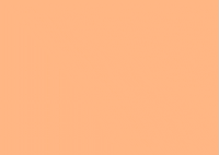 Thanks Vegan GIF by Desafío 22