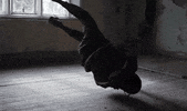 GIF by Scarlxrd