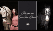 Horse Dressage GIF by Equestrian Queen
