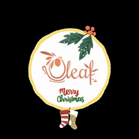oleafherbal oleafherbal GIF