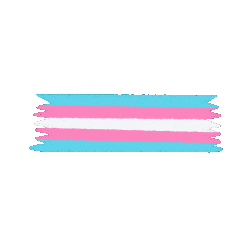 Flag Trans Sticker