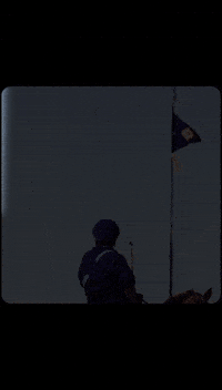 Horse Punjabi GIF