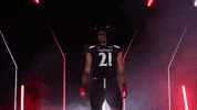 University Of Cincinnati Uc GIF by Cincinnati Bearcats