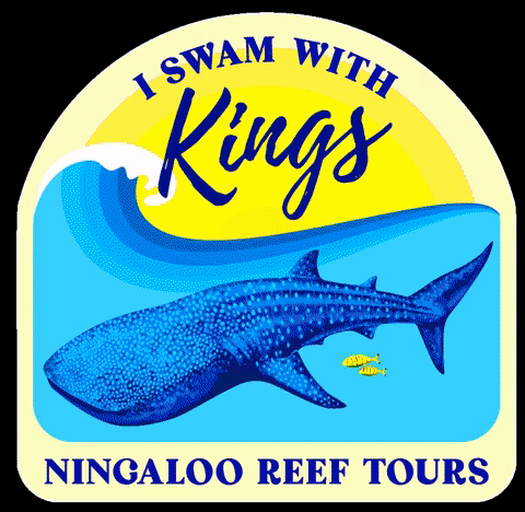 KingsNingaloo giphygifmaker kings humpback whale mantaray GIF