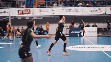 MKSLublin sport win lets go handball GIF