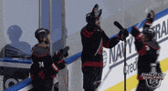 Celebrate Ice Hockey GIF by NHL