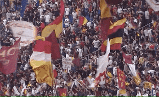 Italian Football GIF by AS Roma