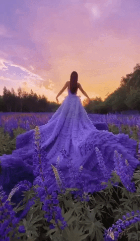 Gina101creative giphyupload beauty nature flowers GIF