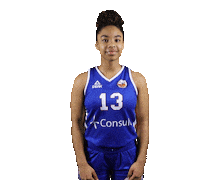 Basketball Sticker by 4Consult / Binnenland