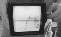 cat pizza GIF by hoppip