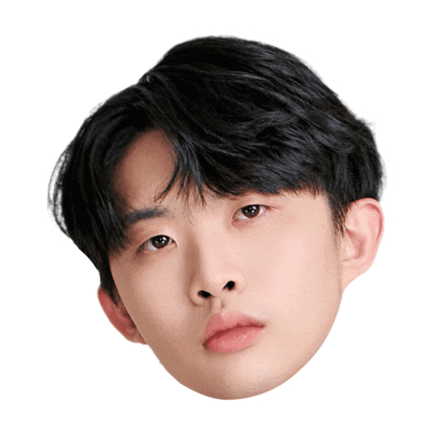 Fw Flashwolves Sticker
