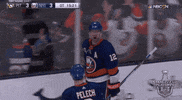 happy ice hockey GIF by NHL