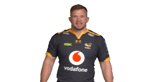 Rugby Sticker by Wasps