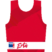 Plandecorones Sticker by SkiWorldCup Kronplatz