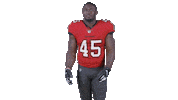 Tampa Bay Football Sticker by Tampa Bay Buccaneers