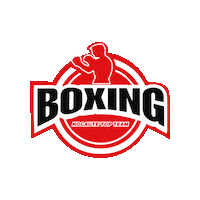 Boxe Sticker by Nocaute