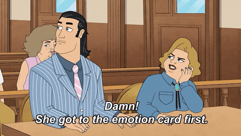 Court Lawyer GIF by Bless the Harts