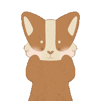 corgiandcream dog corgi corgiandcream Sticker