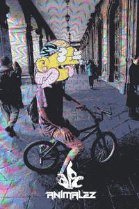 laplagainvade weird mexico bike trip GIF