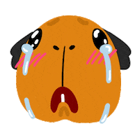 Sad Guinea Pig Sticker by rabbitomart