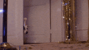 FDJ dog what dogs judging GIF