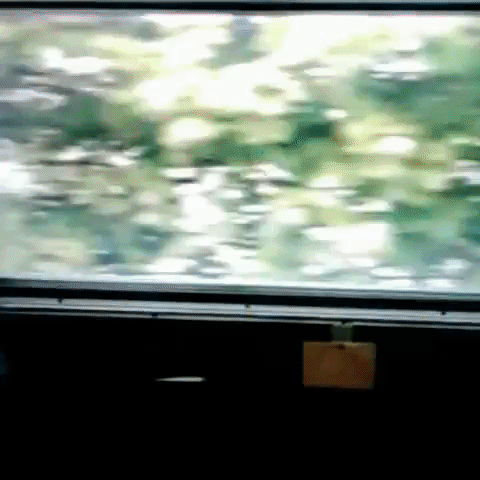 GIF by andymilonakis