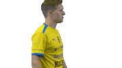 Floorball Salibandy Sticker by F-liiga