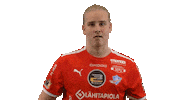 Floorball Salibandy Sticker by F-liiga