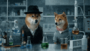 I Am The One Who Knocks Shiba Inu GIF by DogeGF