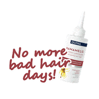 Refresh Delight Sticker by Olival Cosmetics