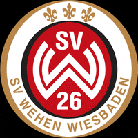 Sv Wehen Wiesbaden Svww GIF by svww_official