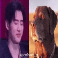 Sunghoon Hoon GIF