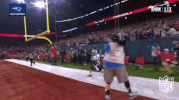New England Patriots Football GIF by NFL