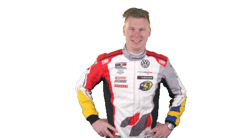 touring car celebration Sticker by FIA WTCR