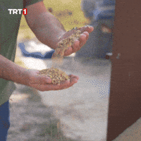 Film Eat GIF by TRT