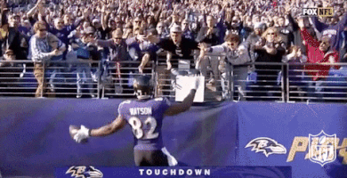Baltimore Ravens Football GIF by NFL