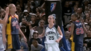 Becky Hammon Basketball GIF by WNBA