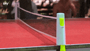 Ping Pong Masterchef GIF by Sky Italia