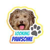 Awesome Doodle Sticker by Milagency