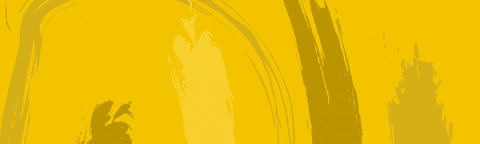 GIF by Face Equality International