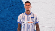 Davie Selke Bundesliga GIF by Hertha BSC