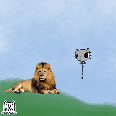 Dog Lion GIF