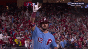 World Series Baseball GIF by MLB