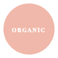 dolce_organico vegan healthy organic bakery Sticker