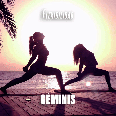 Flexibilidad GΓ©minis