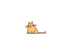 Cats GIF by LizaDonnelly