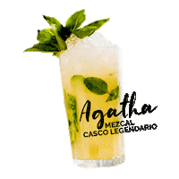 Cheers Salud Sticker by Mezcal Casco Legendario