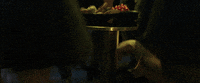 kinolorber synonyms nadav lapid tom mercier GIF