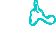 Islas Baleares Vacaciones Sticker by Visit Formentera