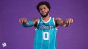 Basketball Nba GIF by Charlotte Hornets
